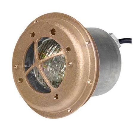 Pentair Fountain Rock Guard for Small Niches 560003